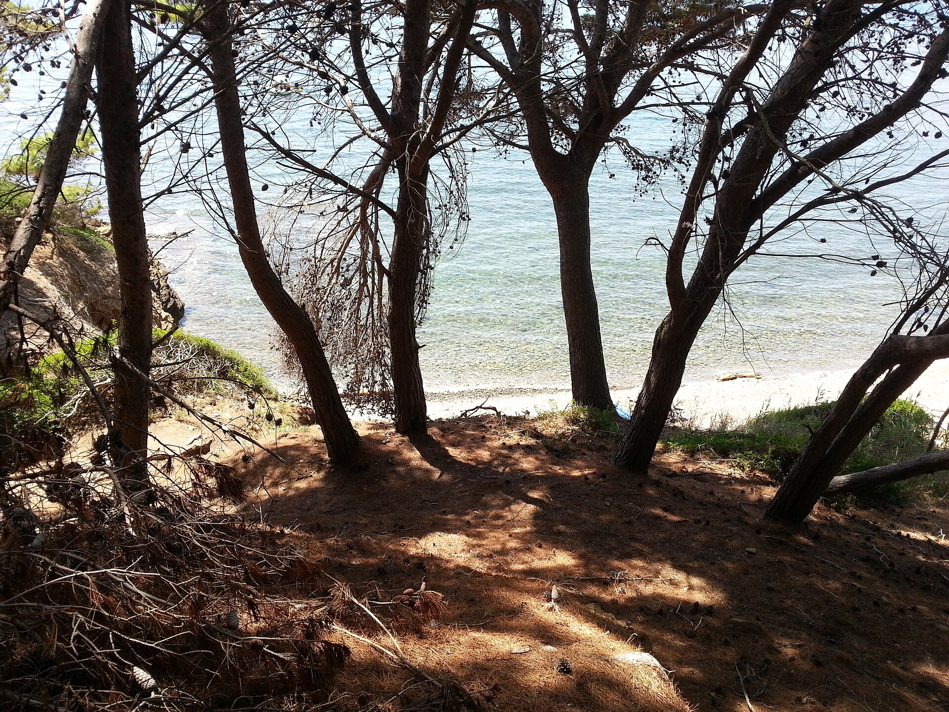 1920px-Parco_del_Cilento_mare_di_Punta_Licosa-tenuta-mari